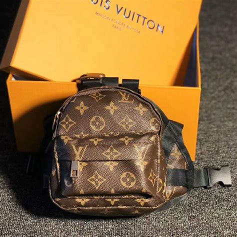 louis vuitton dog backpack.